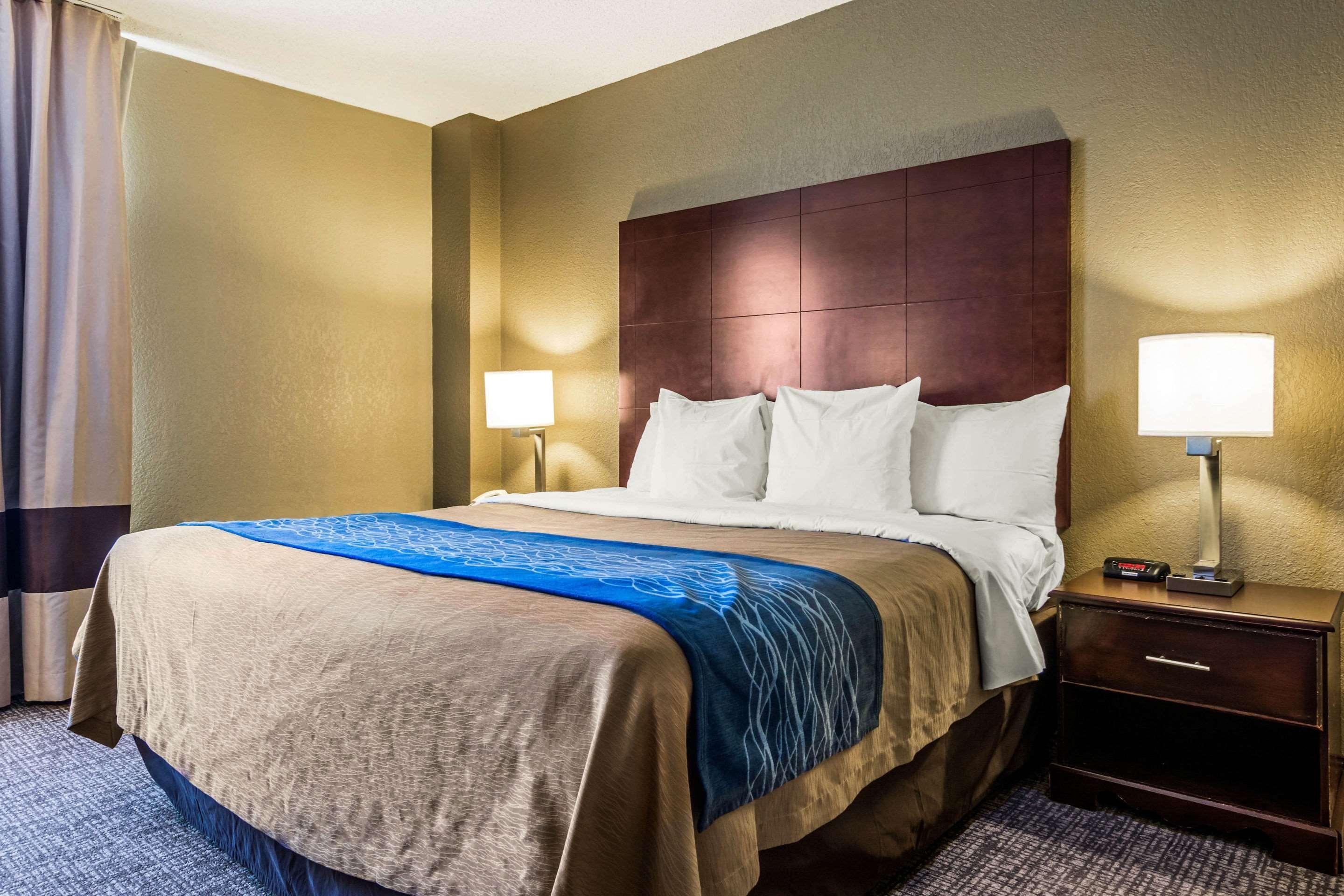Comfort Inn Atlanta Downtown South Exterior foto