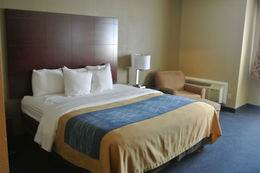 Comfort Inn Atlanta Downtown South Exterior foto