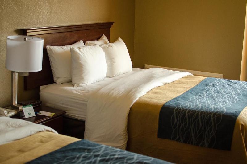 Comfort Inn Atlanta Downtown South Exterior foto